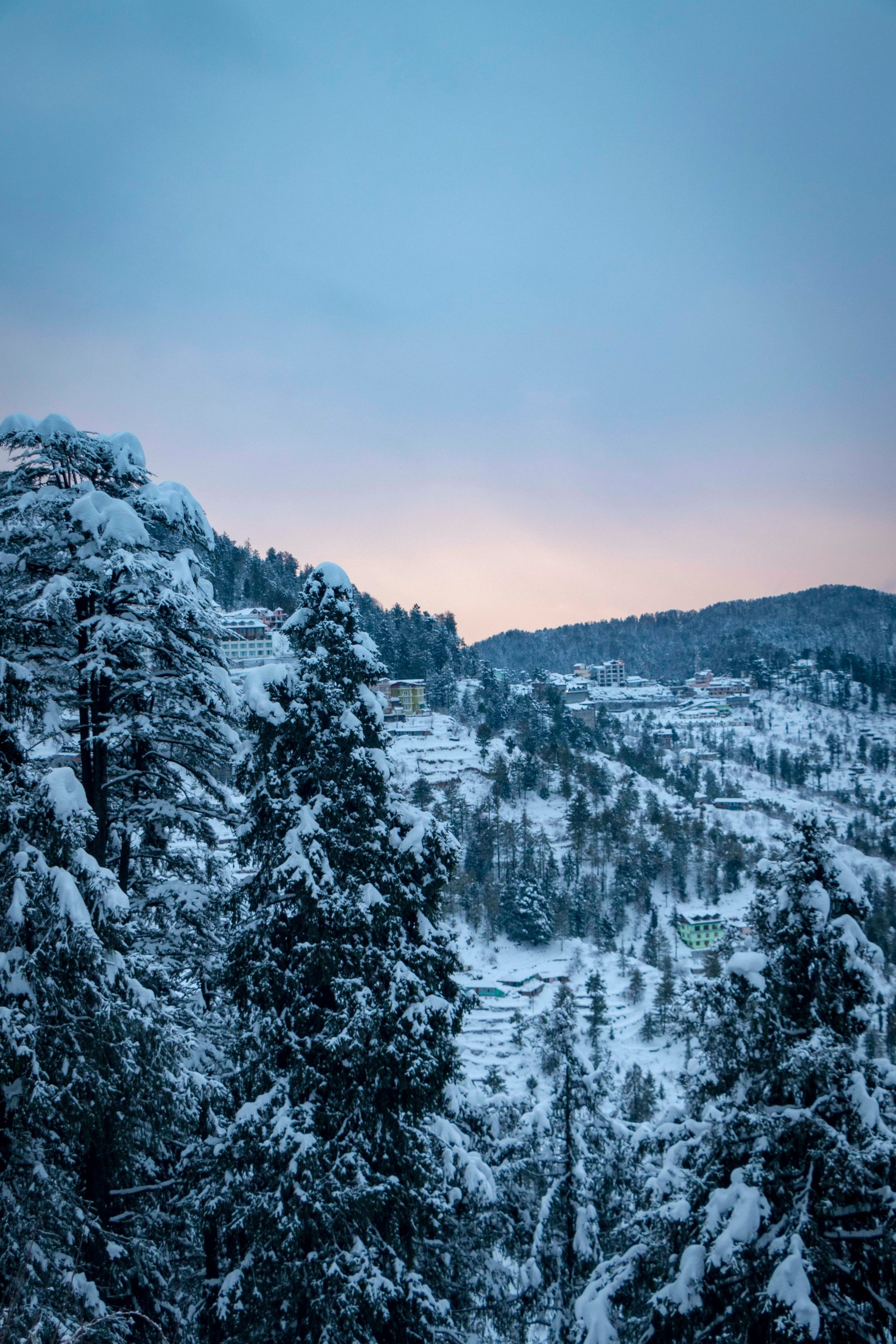 Shimla & Manali